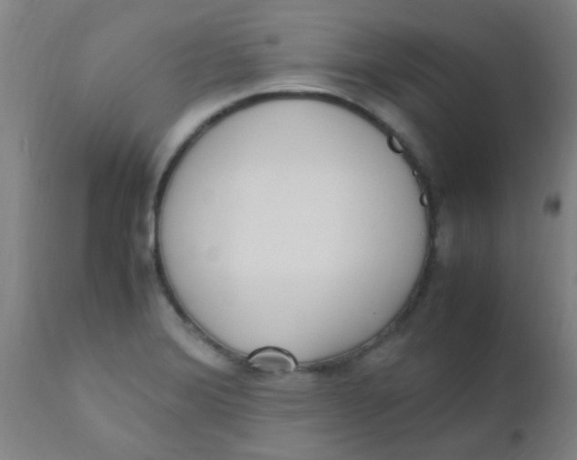 X0000110731372200907022100