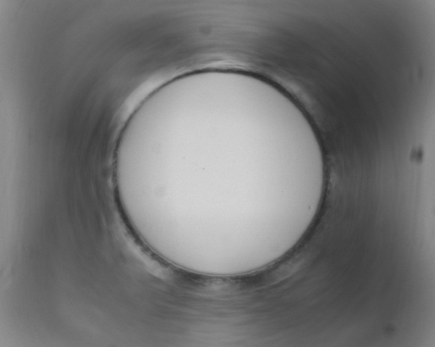 X0000110731375200907022100