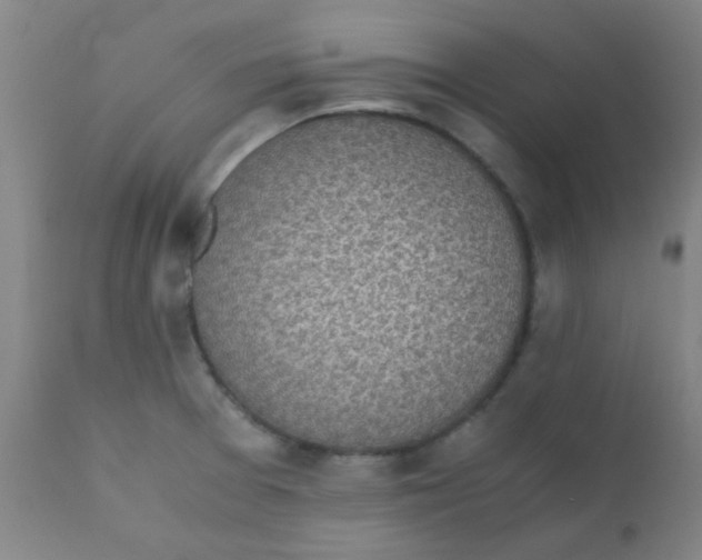 X0000110731377200907022100