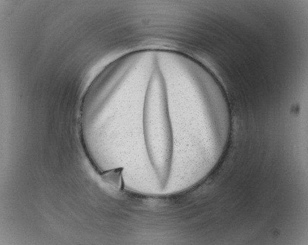 X0000110731379200907022100