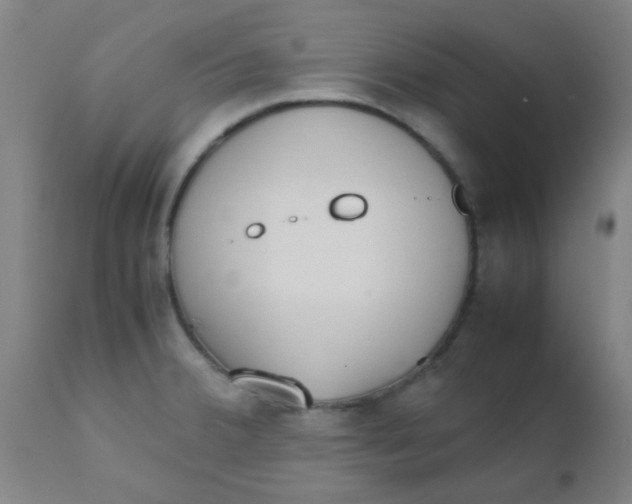 X0000110731380200907022100