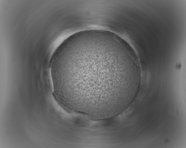 X0000110731381200907022100