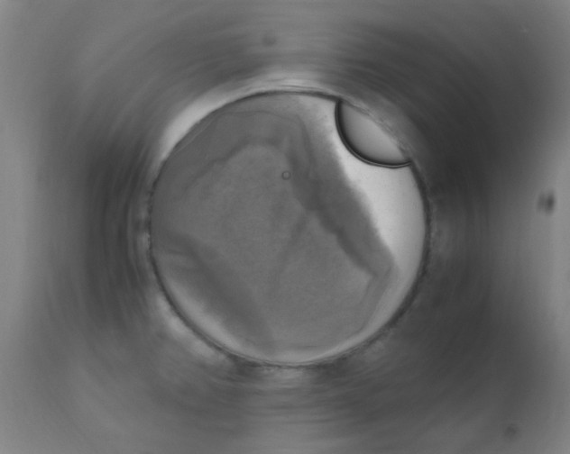 X0000110731382200907022100