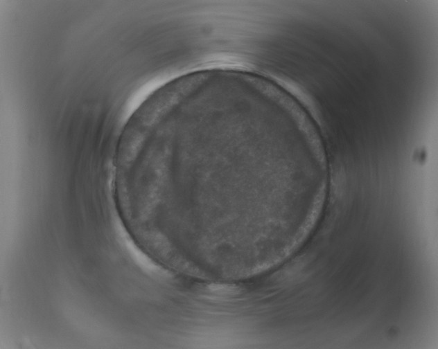 X0000110731383200907022059