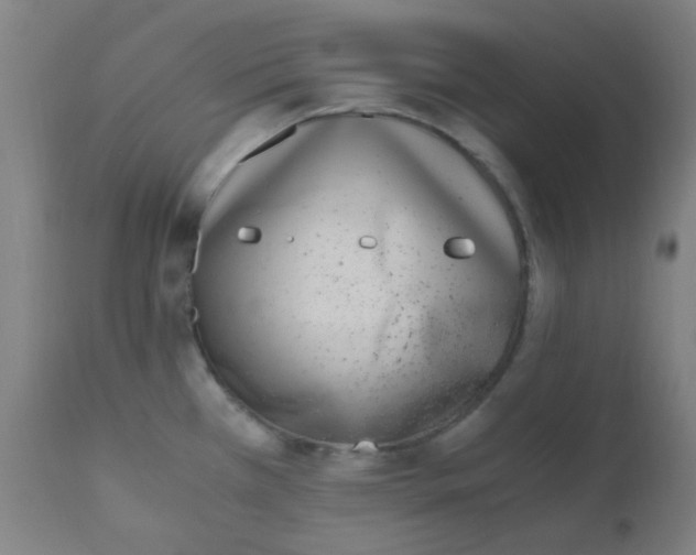 X0000110731385200907022059