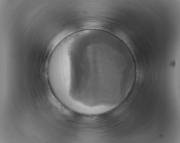 X0000110731386200907022059