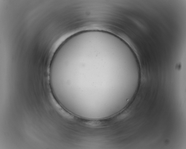 X0000110731388200907022059