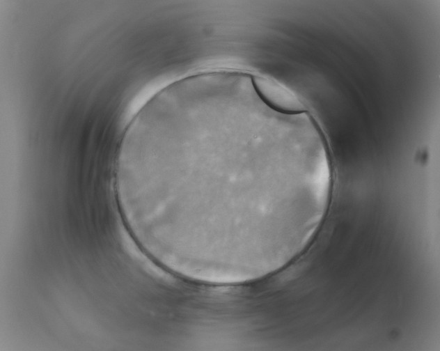 X0000110731390200907022059