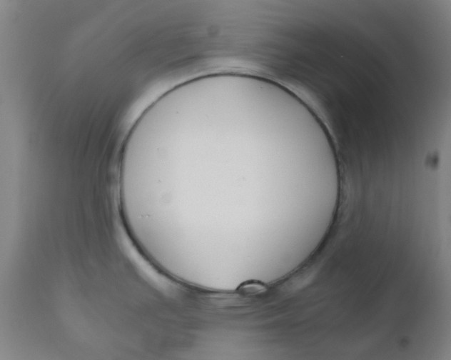 X0000110731391200907022059