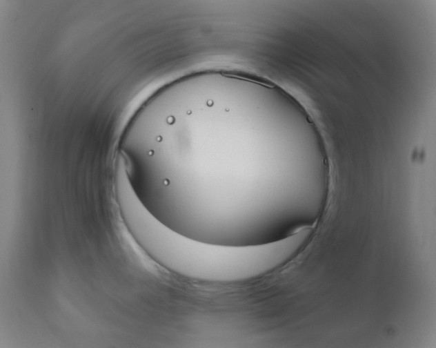 X0000110731392200907022059