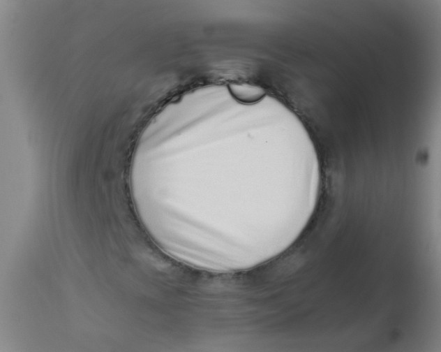 X0000110731393200907022059