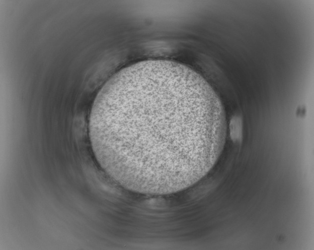 X0000110731395200907022059