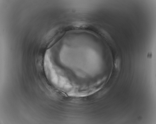 X0000110731396200907022059