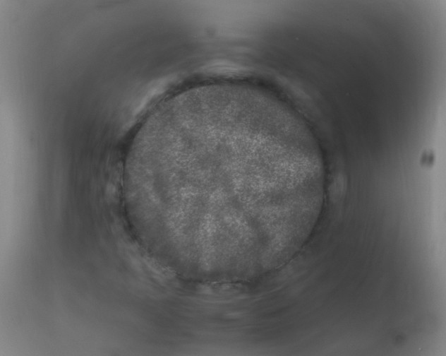 X0000110731397200907022059