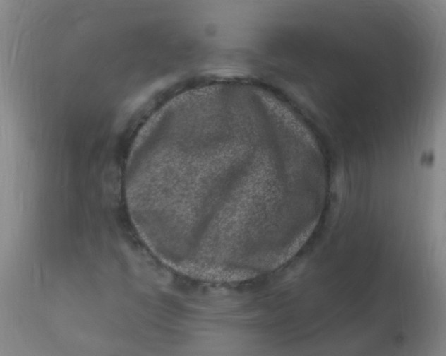 X0000110731398200907022059