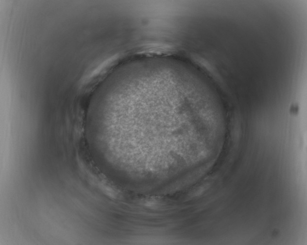 X0000110731399200907022059