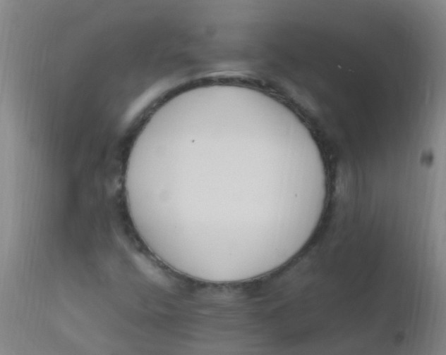 X0000110731400200907022059