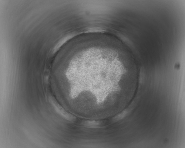 X0000110731401200907022059