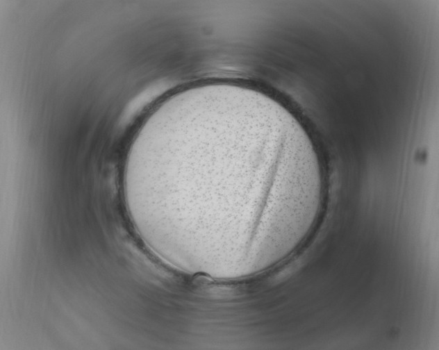 X0000110731402200907022059