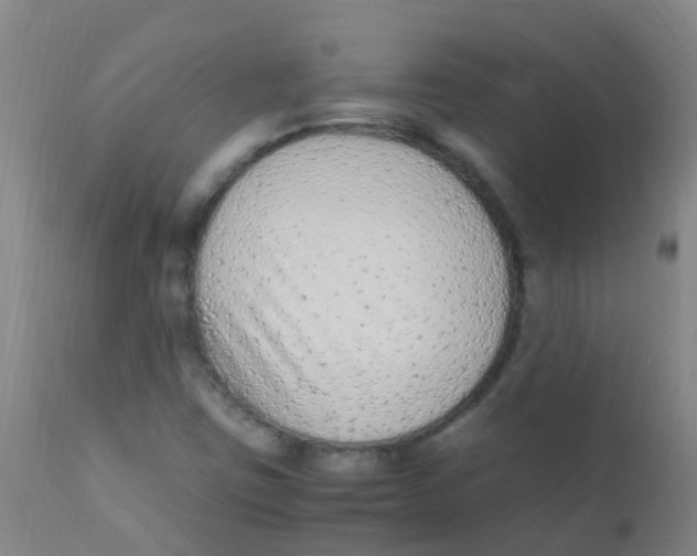 X0000110731403200907022059