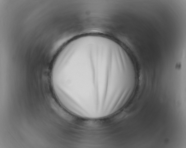 X0000110731404200907022059