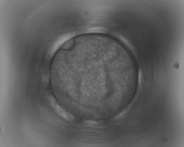 X0000110731405200907022059