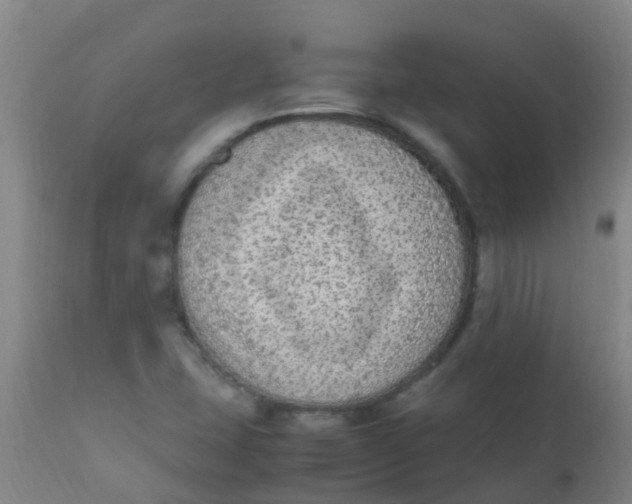 X0000110731407200907022059