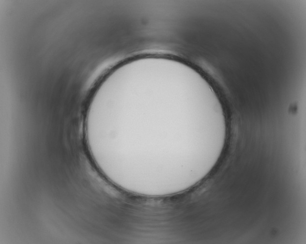 X0000110731408200907022059