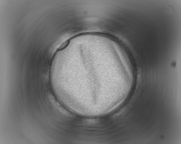 X0000110731409200907022059