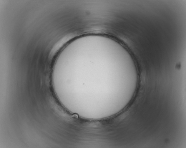 X0000110731410200907022059