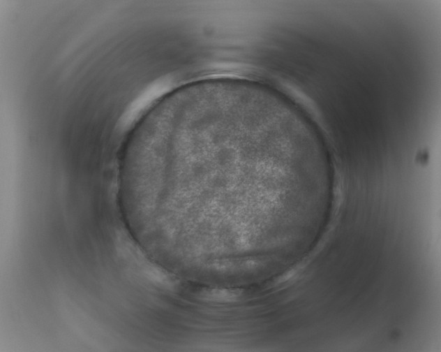 X0000110731411200907022059