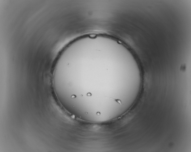 X0000110731412200907022059