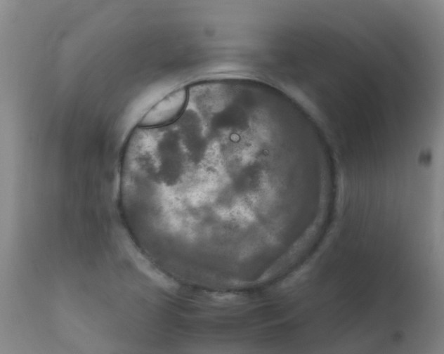 X0000110731413200907022059