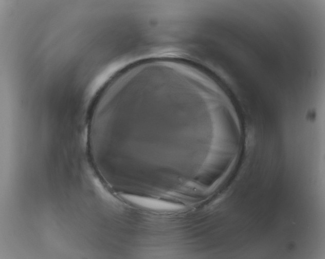 X0000110731414200907022059