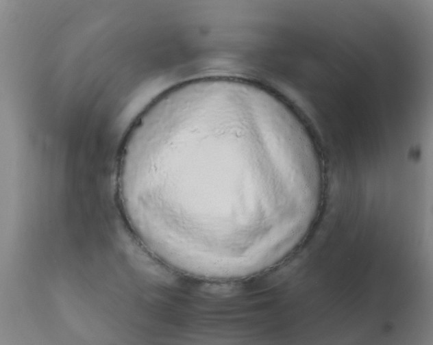 X0000110731415200907022059