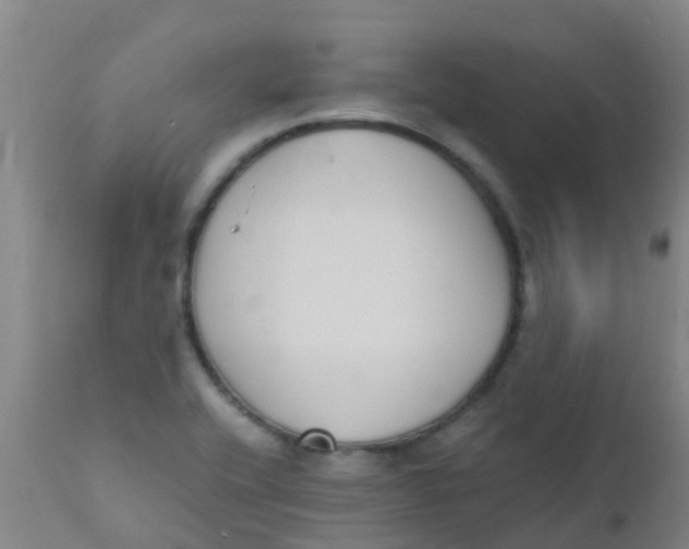 X0000110731416200907022059