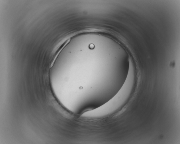 X0000110731417200907022059