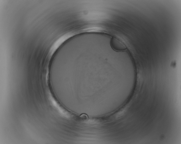 X0000110731418200907022059