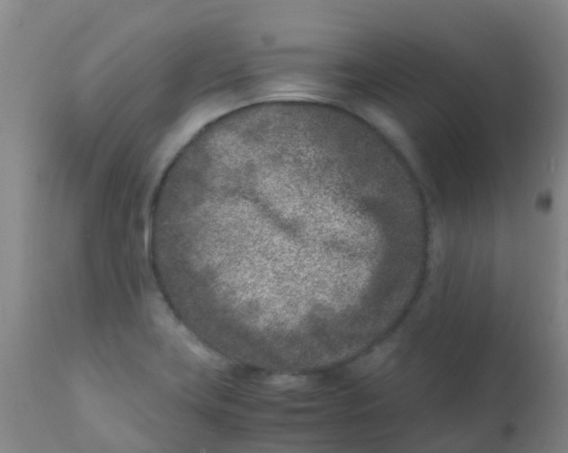 X0000110731419200907022059