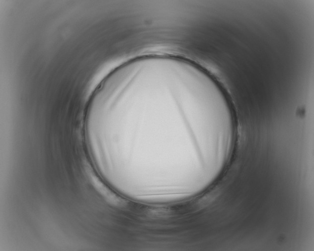 X0000110731421200907022059