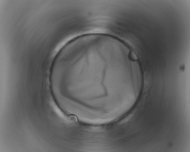 X0000110731422200907022059