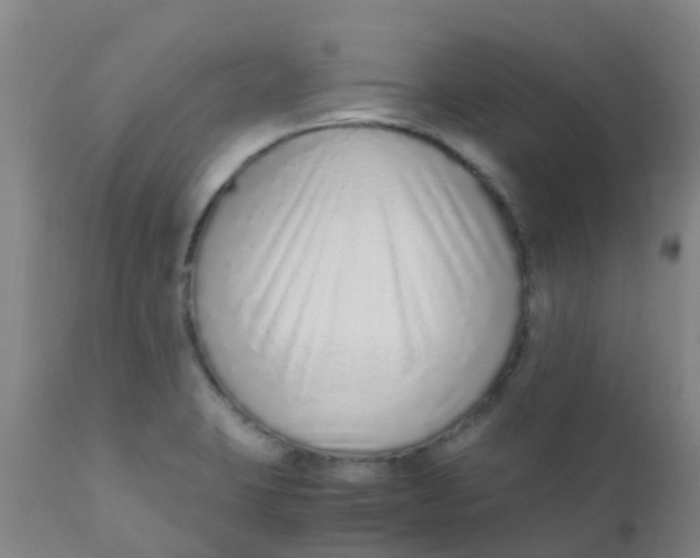 X0000110731423200907022059