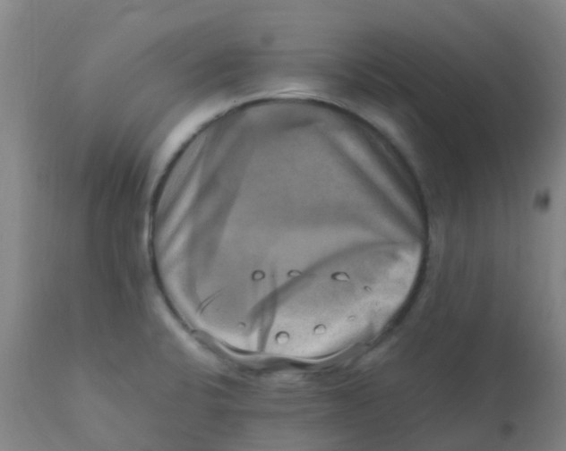 X0000110731424200907022059