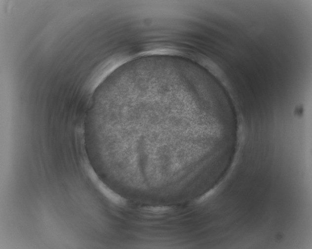 X0000110731425200907022059