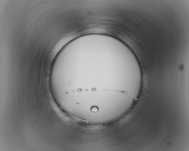 X0000110731426200907022059