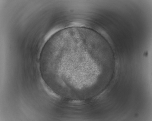 X0000110731427200907022059