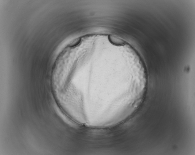 X0000110731429200907022059