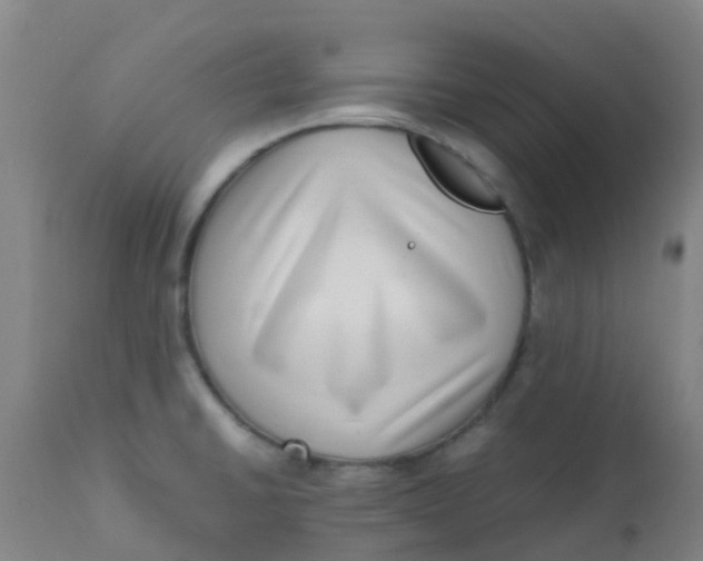 X0000110731430200907022059