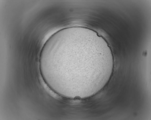 X0000110731431200907022059