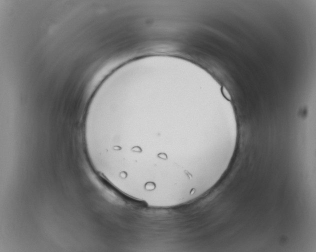 X0000110731432200907022059